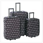 Stylish Skull Luggage Set