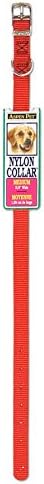 Petmate 11184 Pet Provides Canine Collars