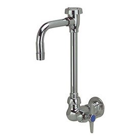 Zurn Z875t2 6m Aqua Spec Wall Mount Lab Faucet With 4 1 2 Vacuum