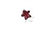 Fireboomoon 40 Pcs Girls Flower Shaped Mini Hair Claws Hair Bangs Hair Pin For Little Girls Mix Colored