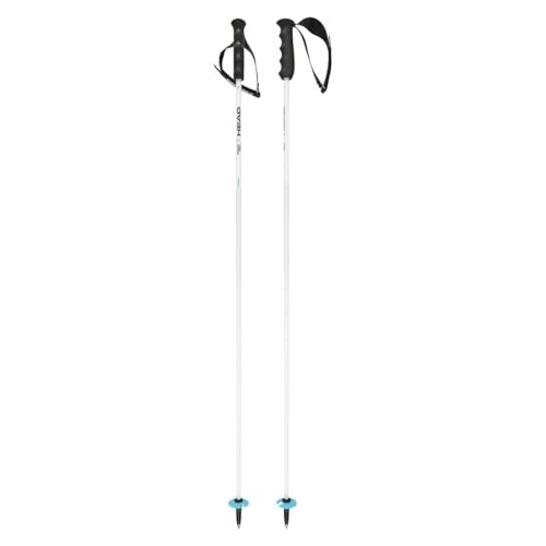 HEAD Unisex Adult Worldcup Rebels Carbon Ski Poles, White/Black/Speed Blue, 130