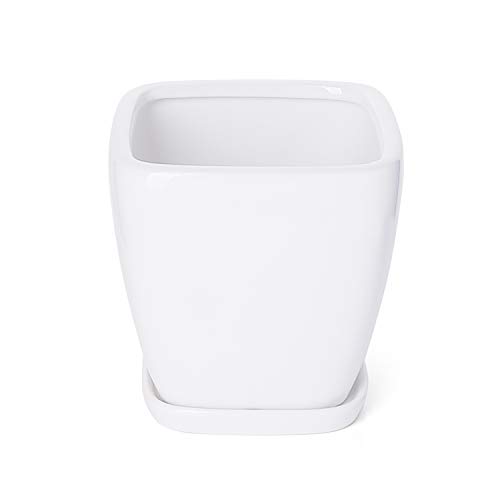Greenaholics Succulent Pot - 5.1 Inch Square Ceramic Planter with Saucer, Flower Pot for Indoor Plant, with Drainage Hole, White