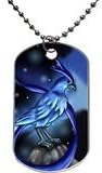 Pokemon Articuno Design Personlized Style Dog tag pet tag Necklaces Pendant Bead Chain, Dog Tag Size 1.3X2.2X0.1 inches in Diameter