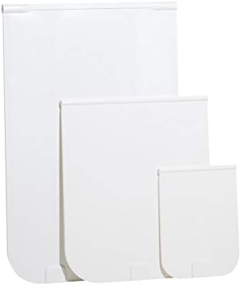 electric hamster wheel