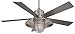 Home Decorators Collection Grayton 54 in. Indoor/Outdoor Galvanized Ceiling Fan