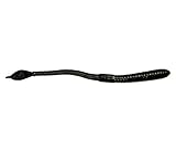 Mann's BB6-20 Jelly 6" Worm