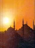 Front cover for the book The Great Cities: Istanbul by Colin Thubron