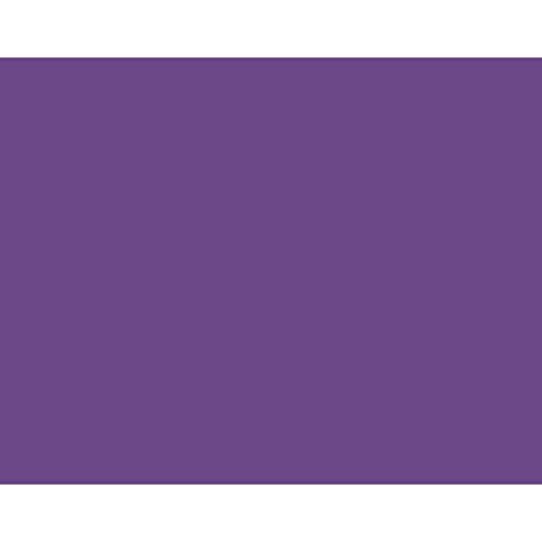 BAZIC 22" X 28" Purple Poster Board (Case of 25)