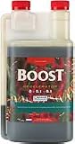 CANNA Boost Accelerator Flavor and Flowering Stimulator 9340005, 5 L