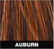 Ustar Hair building Fibers Hair Loss Concealer for Thinning Hair Auburn 0.42oz 12g