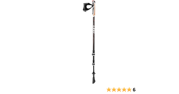 best nordic walking sticks 2017