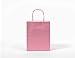 12CT Medium Pastel Assorted Biodegradable, Food Safe Ink & Paper, Premium Quality Paper (Sturdy & Thicker), Kraft Bag with Colored Sturdy Handle (Pastel, 12Ct Medium)