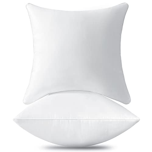 Lyweem 20 x 20 Throw Pillow Inserts Set of 2 Square Pillow Insert for