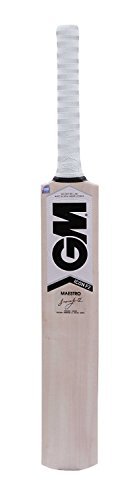 Gm icon f2 maestro kashmir willow cricket bat (short ha…