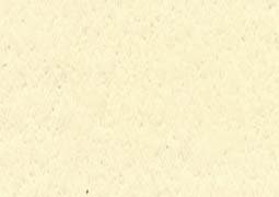 Turner Colour Works Acryl Gouache Artist Acrylic Paint - Single 20 ml Tube - Pastel Sand