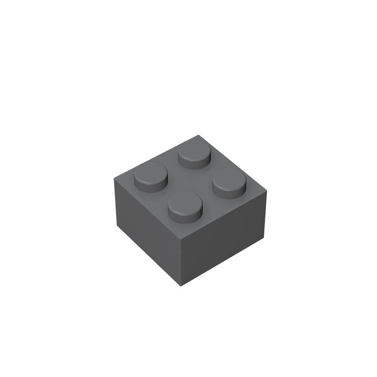 Classic Building Bricks 2x2 100 Pieces, Compatible with All Major Brands Parts and Pieces 3003 (Colour: Dark Grey)