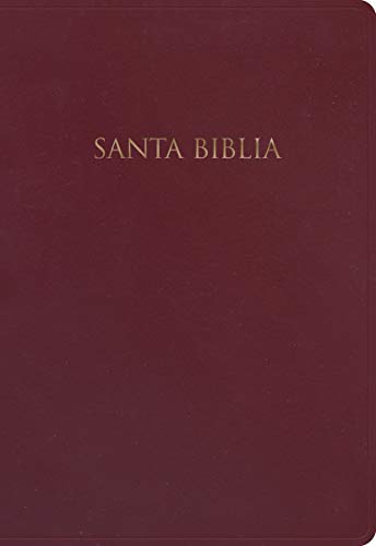 Biblia Nueva Versión Internacional para Regalos y Premios. Imitación piel, borgoña / Gift and Award Holy Bible NVI. Imitation Leather, Burgundy (Spanish Edition)