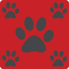 Red with Charcoal Multi-Paws