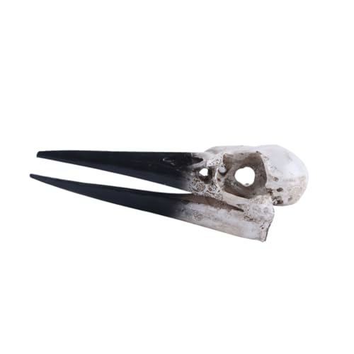 PRETYZOOM Resin Dinosaur Bird Skull Lifelike Skeleton Ornament Decorative Bird Skull for Wine Cabinet