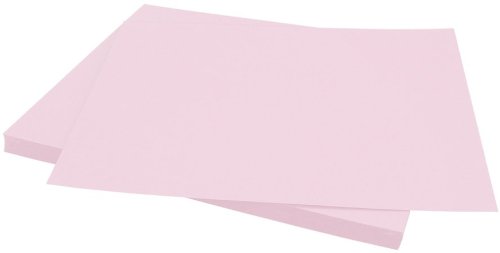 Bazzill Baz309003 Cdstk 12X12 Mono Petalsoft Card Stock (25 Sheets)