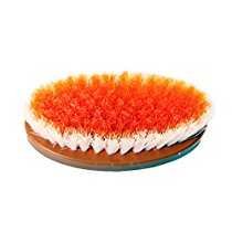 GT Gloptook Clothes Washing Brush-VP Oval A4P