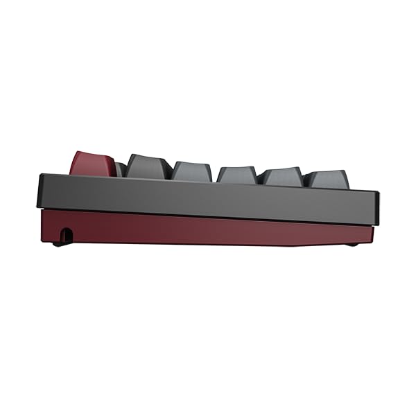 Montech MKey Mechanical Gaming Keyboard: Customizable RGB LED, Premium MDA Profile PBT Keycap, Hot-Swappable, Gateron G Red Pro 2.0 Pre-lubed Switches, Osaka Castle Theme, Darkness(MK105DR)