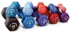 Element Fitness Neoprene Dumbbells 10 lbs