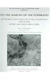 On the Margin of the Euphrates : Settlement and Land Use at Tell Es-Sweyhat and in the Upper Tabqa Area, Syria, Wilkinson, Tony J., 1885923295