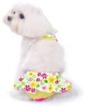 Pooch Outfitters Medium Zuma Dog Bikini