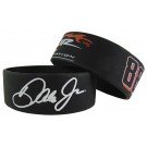 Dale Earnhardt Jr. 1