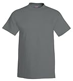 Hanes Men's Short Sleeve Beefy T-Shirt (Smoke Gray, X-Large)