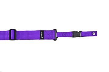 DiMarzio DD2200V 2 Inch Nylon ClipLock Guitar Strap Purple w/Bonus LuluRock Picks (x3) 66333400013