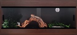 Terapod Slim Vivarium, Walnut 36