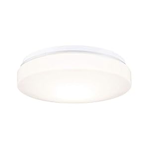Paulmann 78898 HomeSpa plafondlamp Axin IP44 260 mm max. 18 watt plafondlamp wit badkamerlamp kunststof E27