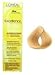 L'oreal Excellence Creme Permanent Hair Color, Extreme Light Beige Blonde B2, 1.74 Ounce
