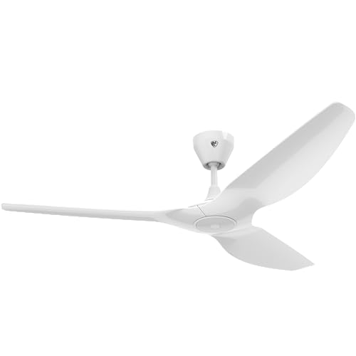 Big Ass Fans Haiku L Fan