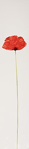 Kenzo Flower By Kenzo For Women. Eau De Parfum Spray 3.3 Ounces - Thumbnail 4