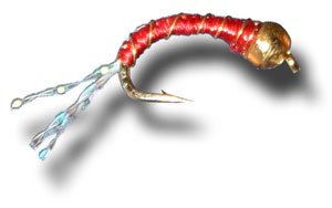 BH Zebra Midge - Red Fly Fishing Fly