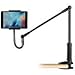 iPad Holder with Swivelling Arm, ZenCT Tablet Mount Holder Foldable Clamp Compatible with 4