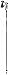 Leki Speed S Ski Pole