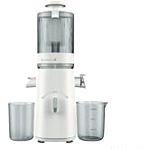 Slow Masticating Juicer, Cold Press Extractor for Fruits and Vegetables