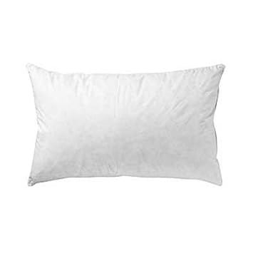 60cm feather cushion insert