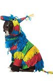 Rasta Imposta Pinata Dog Costume, Medium
