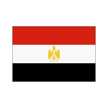 Image result for new egypt flag images