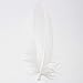 WELLGO 100 Pcs White Glitter Feather Goose Real Feather Christmas Decoration Natural Craft Art Soft Native Feather Accessories for Christmas, DIY, Party, Wedding, Dream Catcher (100pcs)