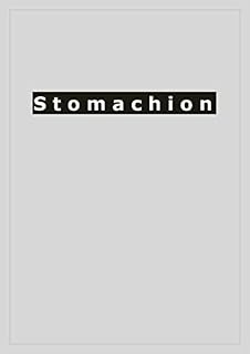 Livro Stomachion: a new approach to enhancing fairness.