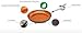 Nuwave Perfect Green 12 Inch Skillet Fry Pan - Duralon Ceramic Non-Stick Cookware Largest Pan