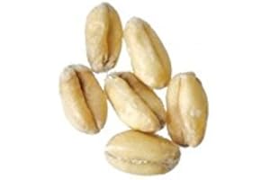 Malt - Briess - Raw White Wheat (50 lb Sack)