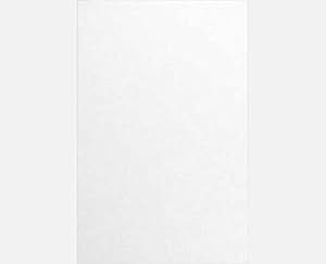 Amazon.com : 11 x 17 Cardstock (Pack of 250) : Office Products
