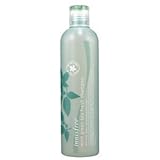 Innisfree Mint Green Tea Fresh Shampoo